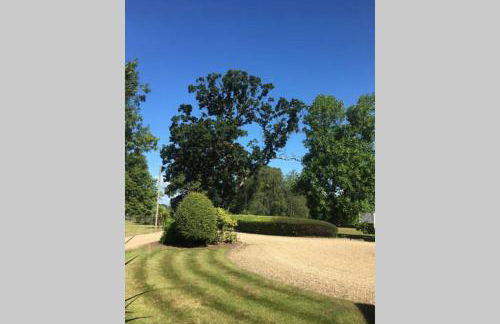 Stay on the grounds of this beautiful Manor house - Photo 17