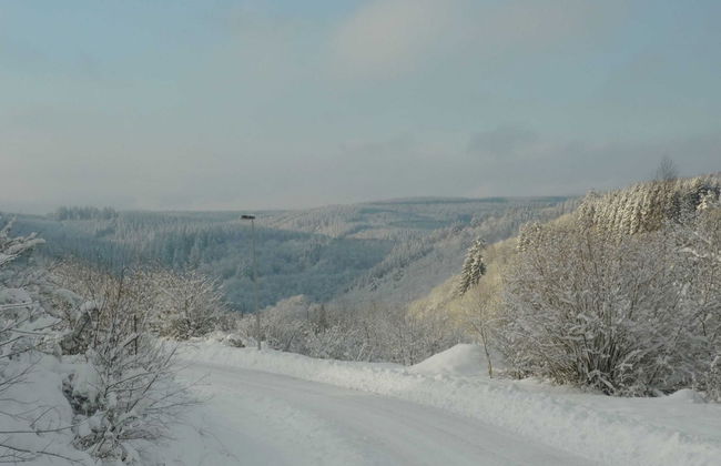 Charming House With Stunning View of the Bouillon Castle - Photo 29