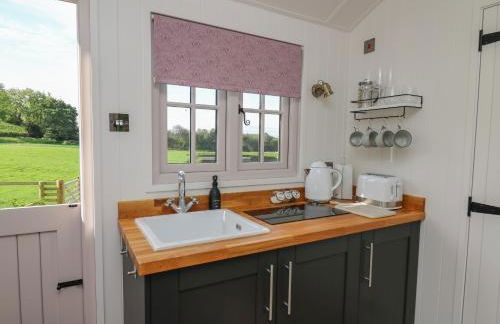 Dragonfly Shepherd's Hut - Photo 6