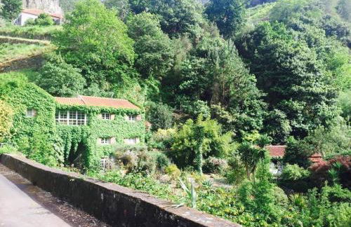 Moinho do Comandante - Foto 2