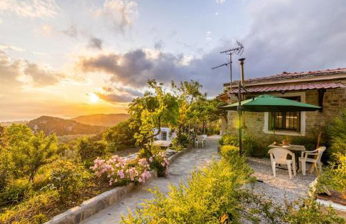 Zelis In Pelion Greece - Foto 70