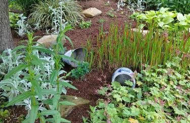 Alfseeglück - Foto 22