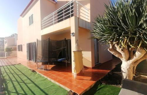 O DRAGOEIRO da Madalena! - Foto 39