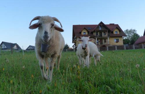 Agroturystyka Pod Zamczyskiem - Photo 1