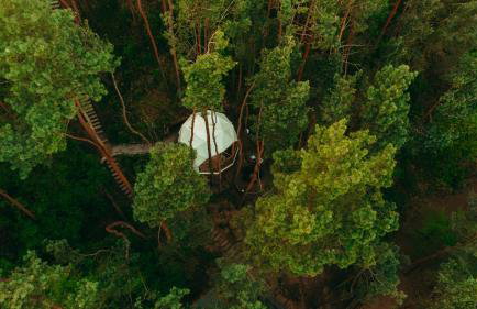 Nad Narvią - Glamp - Foto 20