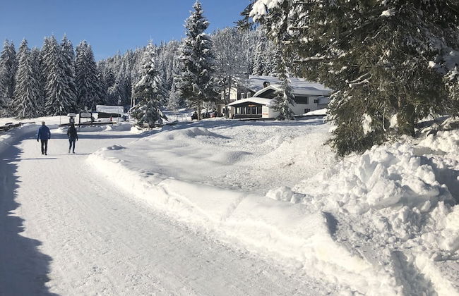 Haus Schönberg - Foto 45