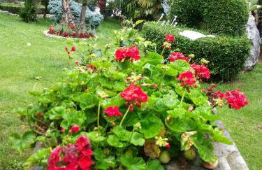 Studio Apartman Lavanda - Foto 19