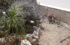 Eirini Apts On the beach - Foto 56