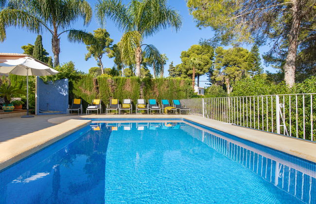 Eucaliptus - Foto 27