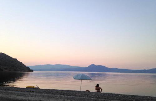 Palm tree house by the beach - Foto 2