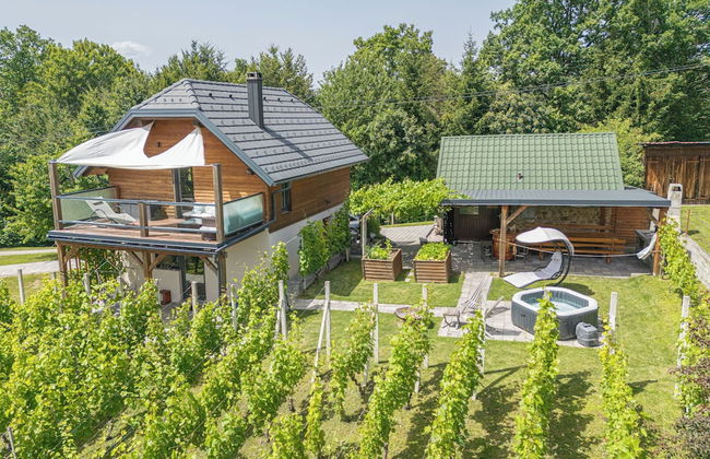 Luxury Vineyard Retreat Matej - Foto 8