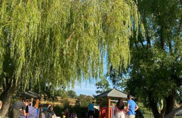 Apartment near Metro Station and Park - Foto 11