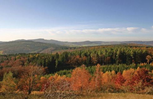 Seepark Kirchheim Ferienhaus bei Nina mit Sauna - Photo 35