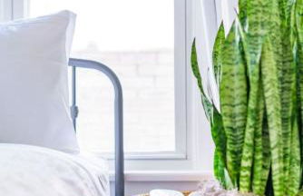 Jungle House Columbus Short North Downtown Free Parking - Steps to Convention Center & Nationwide Arena - 2BR Luxury Home - Sleeps 8 - Over 5,800 Five Star Stays - Foto 36