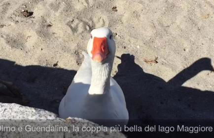 Appartamento Piccolo Porto di Cerro - Photo 47