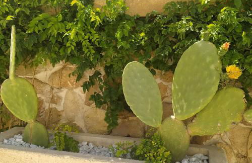 Villa Marina - Foto 21