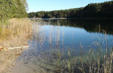 Spreewaldhäuser Golinski mit Kamin am Neuendorfer See - Foto 34