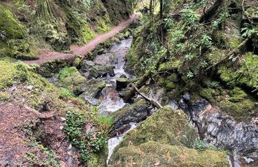 Thistle House Guest House - Foto 50