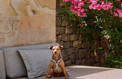 Kasbah 3 - Photo 31