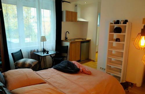 La Lilloise Villeneuve D'Ascq GD STADE Mauroy - Foto 67