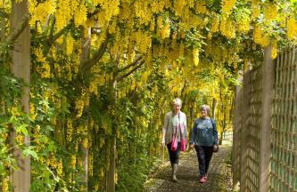 Clonaslee House - Foto 21