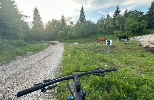 Mountain Lodge Istria - Stone Lodge II - Photo 36