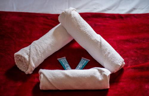 L'Ernest -Jardin Privatif - Netflix - Photo 27