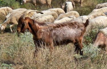 Kerkini's Harmony House - Foto 40