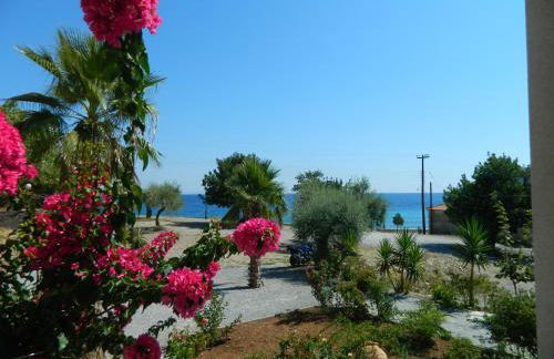 Filyra Xenonas - Foto 40