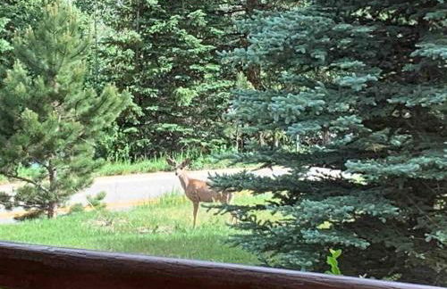 Classic Log Cabin near Rocky Mountain National Park and near Skiing - Foto 14
