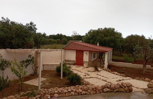 Tenuta L'uliveto - Foto 18