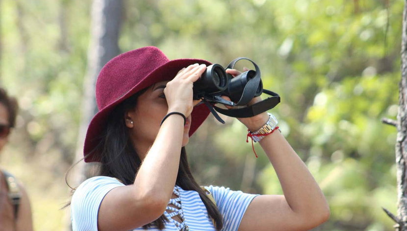 Tour por el Santuario de las Guacamayas - Foto 2, Avistamiento de aves en Puerto Vallarta