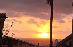 Il Balenottero - Photo 10