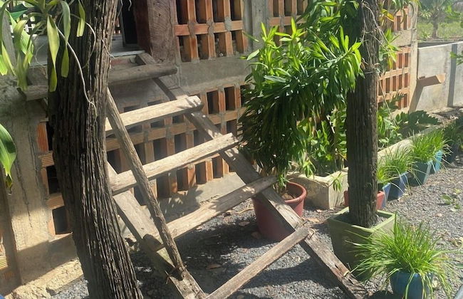 Homestay Tay - Foto 17