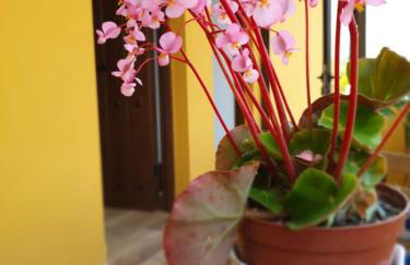 BILOÑA - LA COLINA - Foto 27