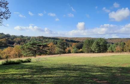 Gîte Les Placettes - Foto 18