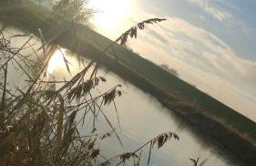 Ferienhaus Zur Mühle Mitling-Mark - Foto 47