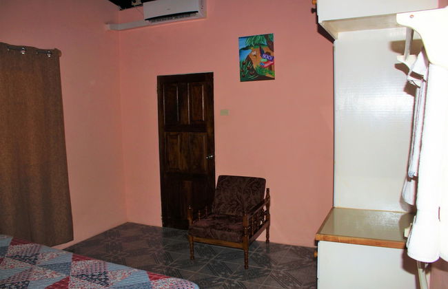 Birdie's Nest - Foto 2