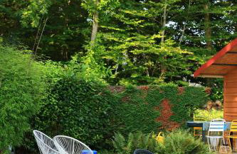 Chambre d'hôtes cosy Le Chalet -Tarn - Foto 18