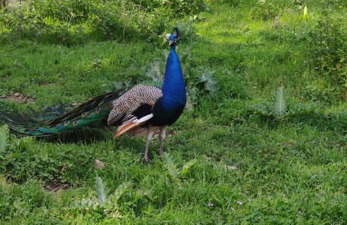 Tipi Dakota des monteaux - Photo 61
