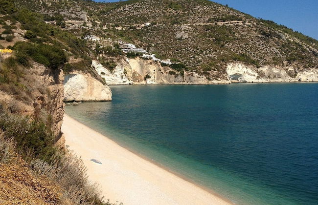 B&B Lido dei Pini - Photo 34