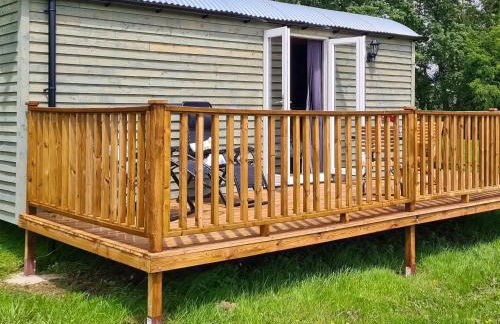 Badgers - Uk46750 - Foto 10