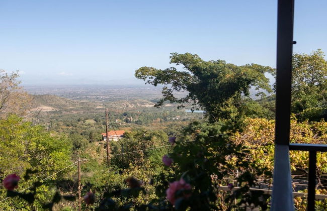 All Seasons Guest House - Foto 12