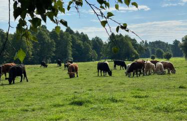 Domek nad Wkrą - Foto 54