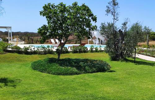 Masseria Vignenove - Foto 48