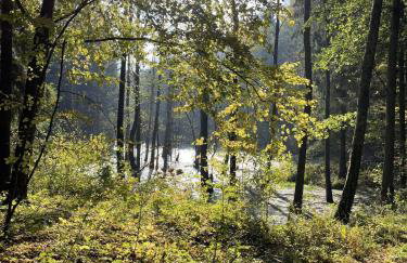Świerkowe Ranczo Raciszewo - Foto 34