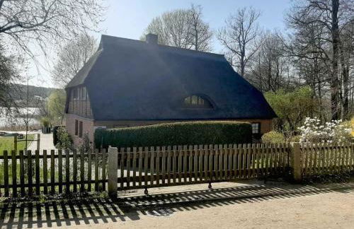 Fischerhaus Whg Sonnenaufgang - Foto 29