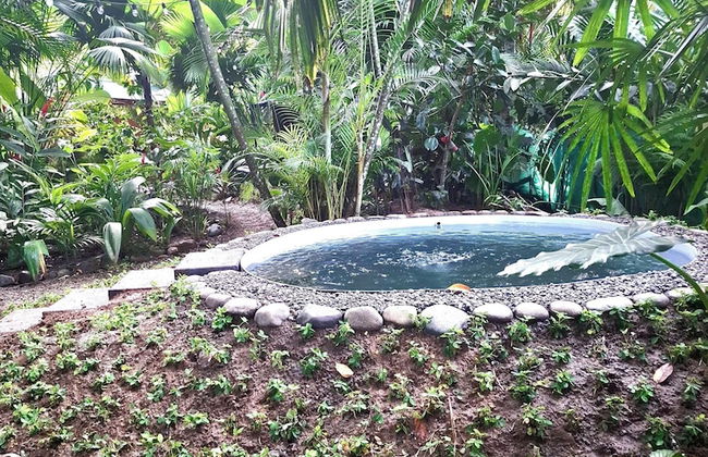 El Jardin de Playa Negra - Foto 72