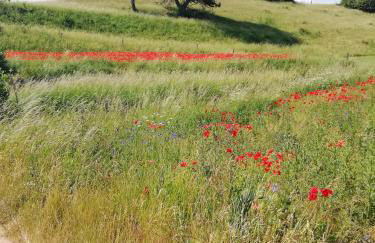 Ferienhaus am Kuhstall - Foto 26