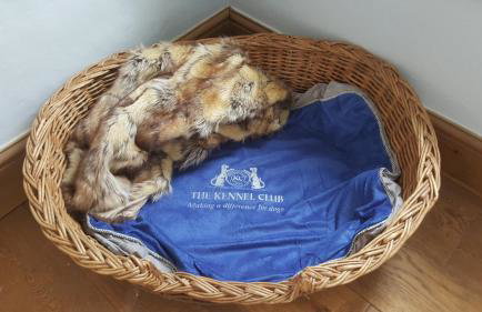 Grigshot Apartment - Foto 25